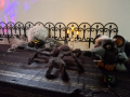 expozice Radouš expozice Radouš